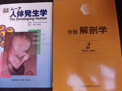 DSCF2027.jpg