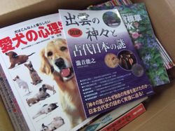 DSCF5370.jpg