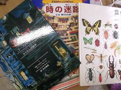 s_DSCF6511.jpg